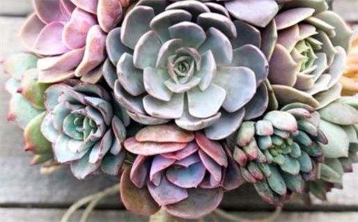 2024年农历八月二十动土好吗 今日动土好吗