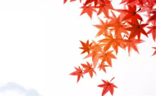 2026年农历四月廿四动土黄道吉日 今日建筑房屋好吗