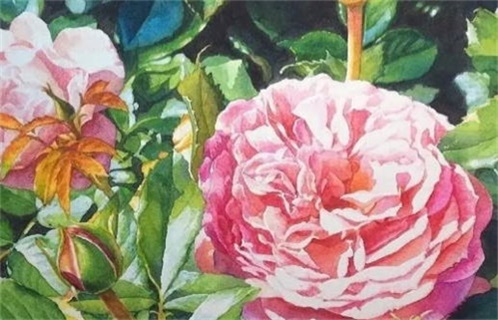 2026年农历四月廿七是不是动土吉日 今日动土修造好不好