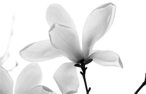 2026年01月17日动土好不好 动土建房吉利吗