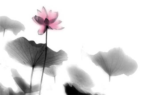 2024年12月11日动土好不好 动土吉利吗