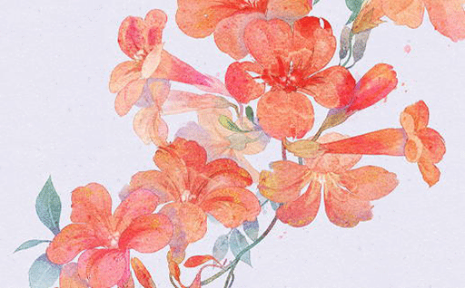 2024年11月27日动土日子如何 是动土好日子吗