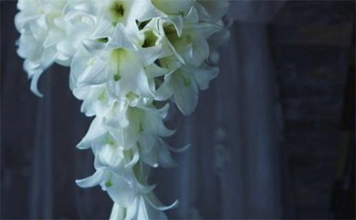 2024年12月28日是结婚好日子吗 宜办婚礼吉日查询