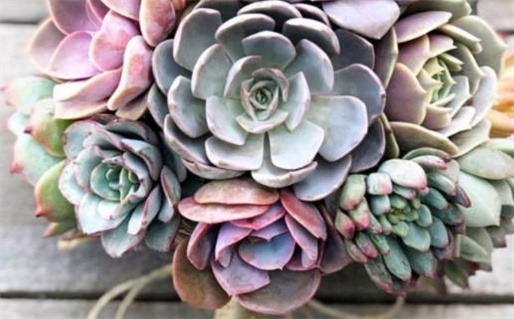 2025年农历十月初六结婚吉日查询 今日办喜事好不好