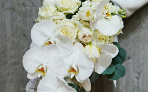 2024年10月21日结婚好不好 宜办喜事吉日查询