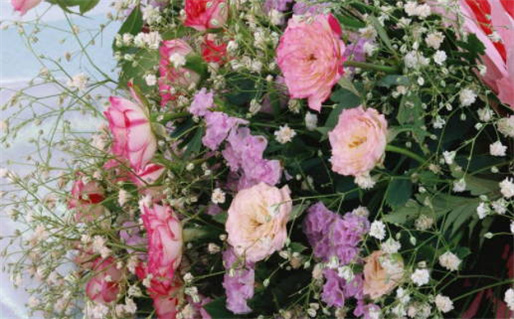 2024年农历十月三十结婚好不好 今日办婚礼好不好