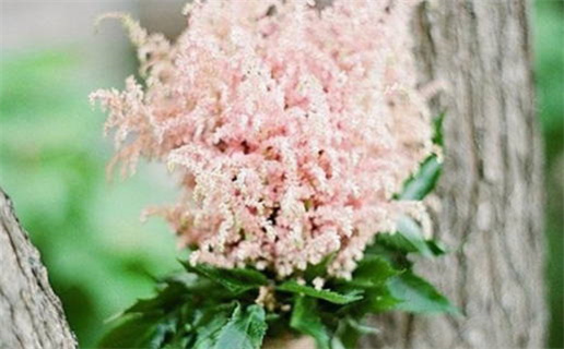 2025年农历十月廿六领证黄道吉日 今日登记结婚好不好