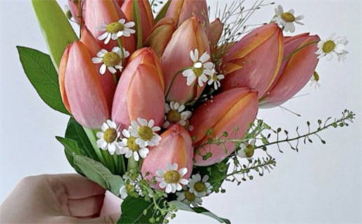 2025年03月20日是不是领证吉日 宜领证结婚吉日查询