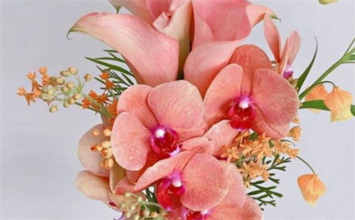 2025年农历正月初二是领证好日子吗 登记领证吉利吗