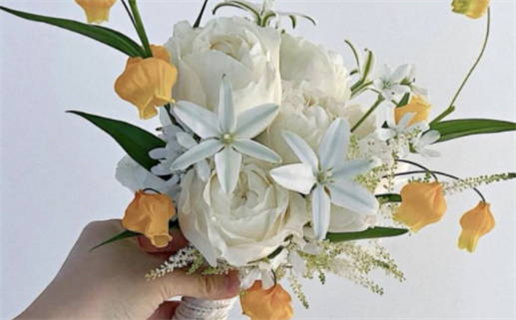 2024年11月17日领证好不好 是登记领证好日子吗