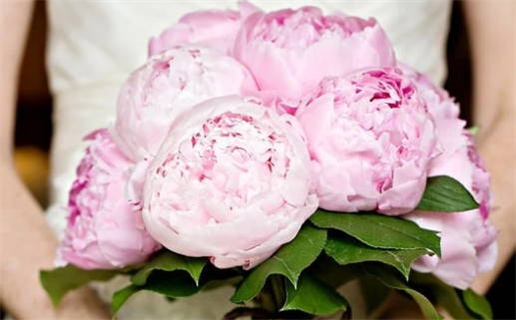 2026年农历正月十一领证好吗 登记结婚吉利吗