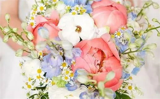 2025年11月20日领证好吗 是登记结婚好日子吗