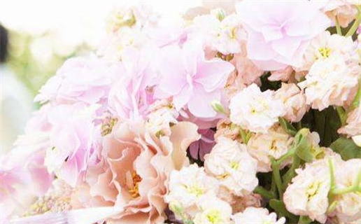 2026年07月09日是领证好日子吗 宜领证吉日查询