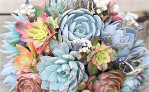 2024年10月10日是领证好日子吗 今日领证好吗