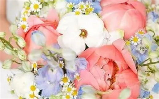 2024年09月25日领证好不好 今日登记领证好不好