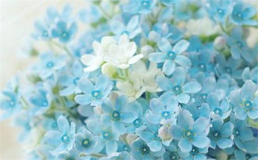 2024年农历冬月十七乔迁日子如何 宜乔迁入宅吉日查询