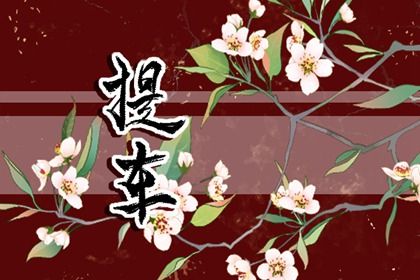 2024年12月23日是不是提车吉日 宜提新车吉日查询