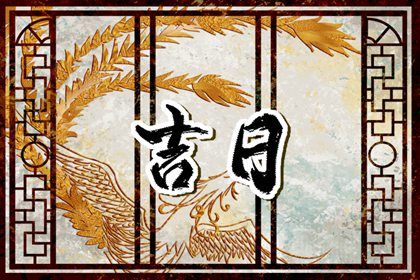 2024年农历冬月十四提车日子如何 今日提车买车好不好