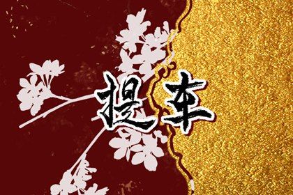 2024年农历十月廿四提车黄道吉日 是提新车好日子吗