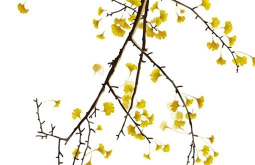 2024年农历冬月初九装修日子如何 今日装潢好不好